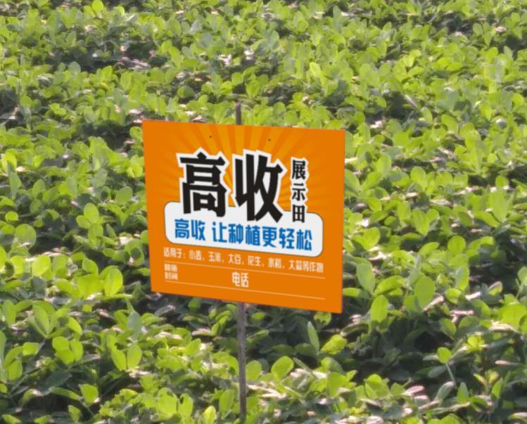 爱游戏 网页版- 阿尔特塔轮换策略收奇效  